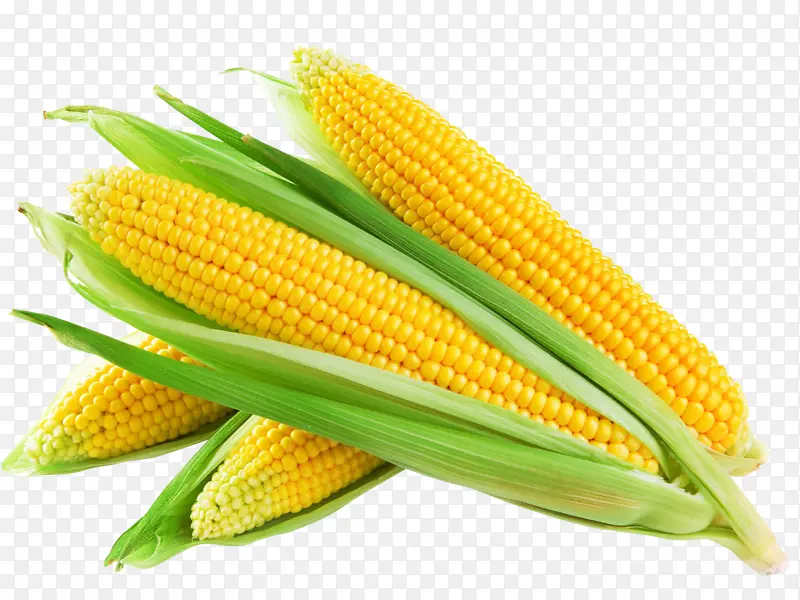 玉米，蔬菜，水果玉米，农作物，粮食