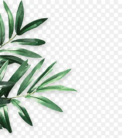 绿色装饰植物树叶pngPNG图片素材下载_图片编号yommmped-免抠素材网