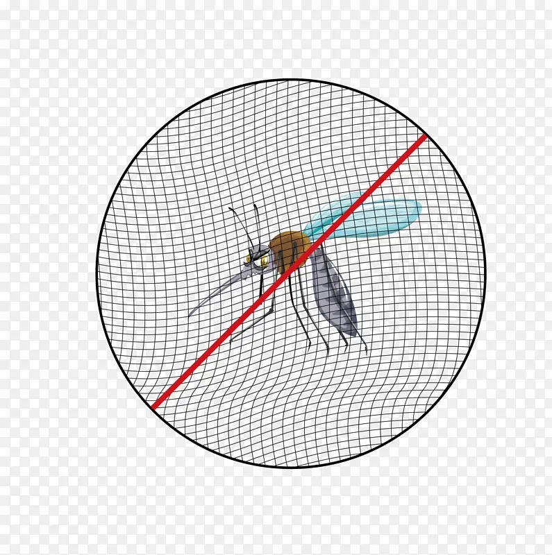 纱网防蚊虫，防虫，阻挡蚊子蚊帐