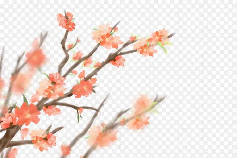 春天樱花装饰元素树枝