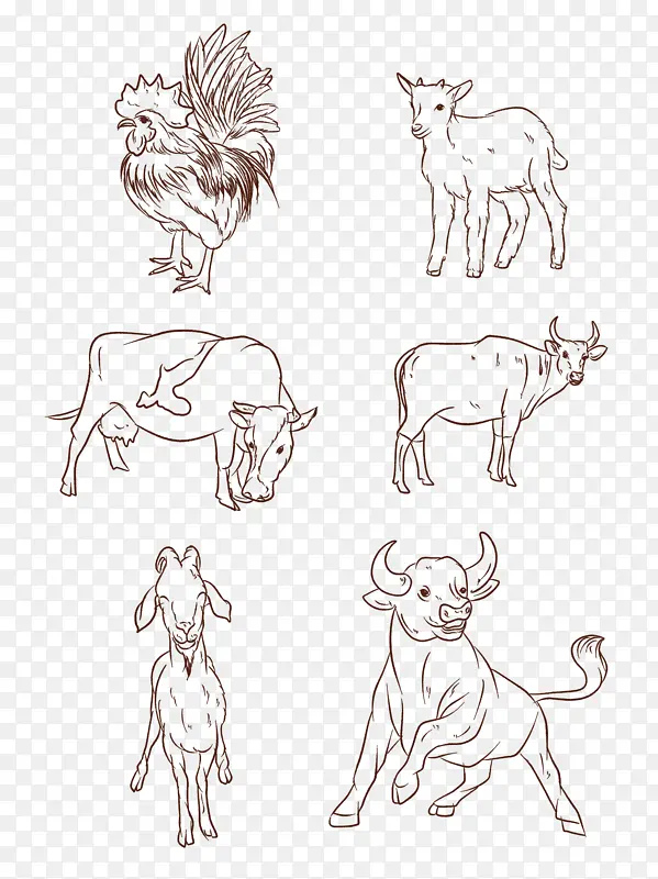 动物手绘线描