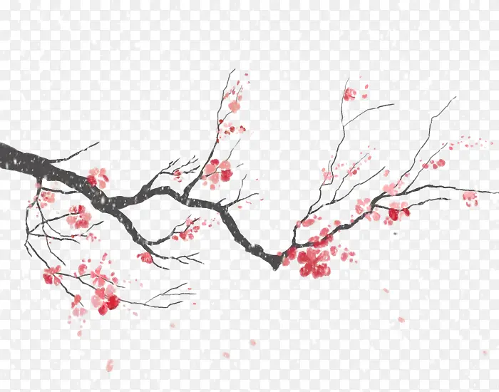 雪中的红梅花枝