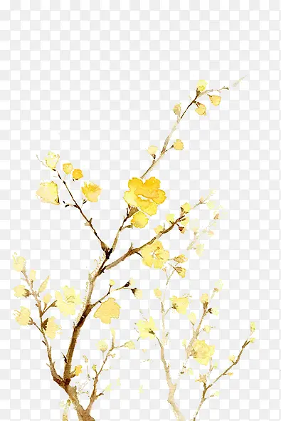 枝头的黄色花朵