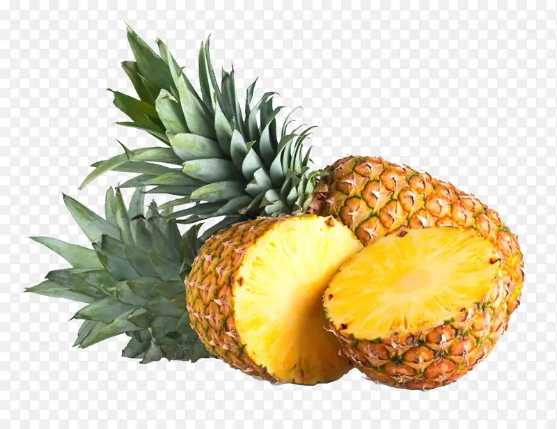 菠萝水果矢量素材