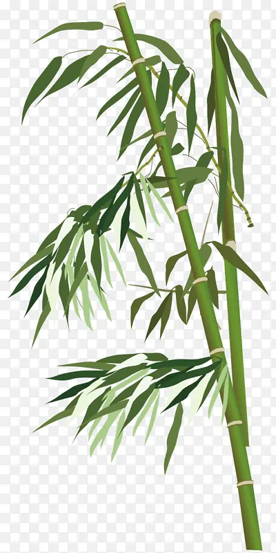 清明节鼠绘竹子元素