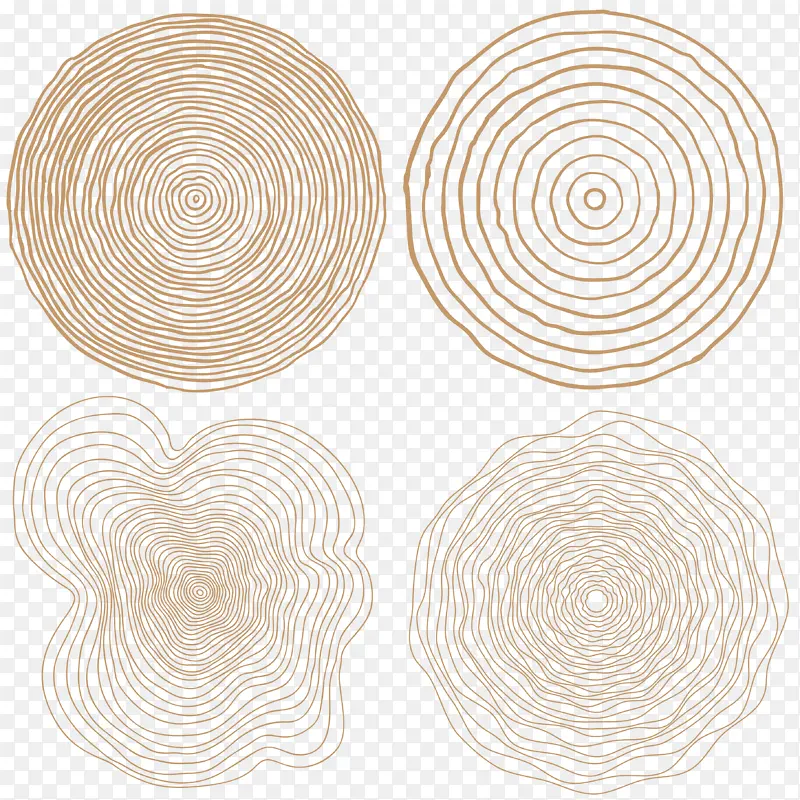 木纹 纹理 木头 年轮