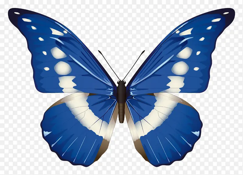 蓝色彩色蝴蝶PNG图片