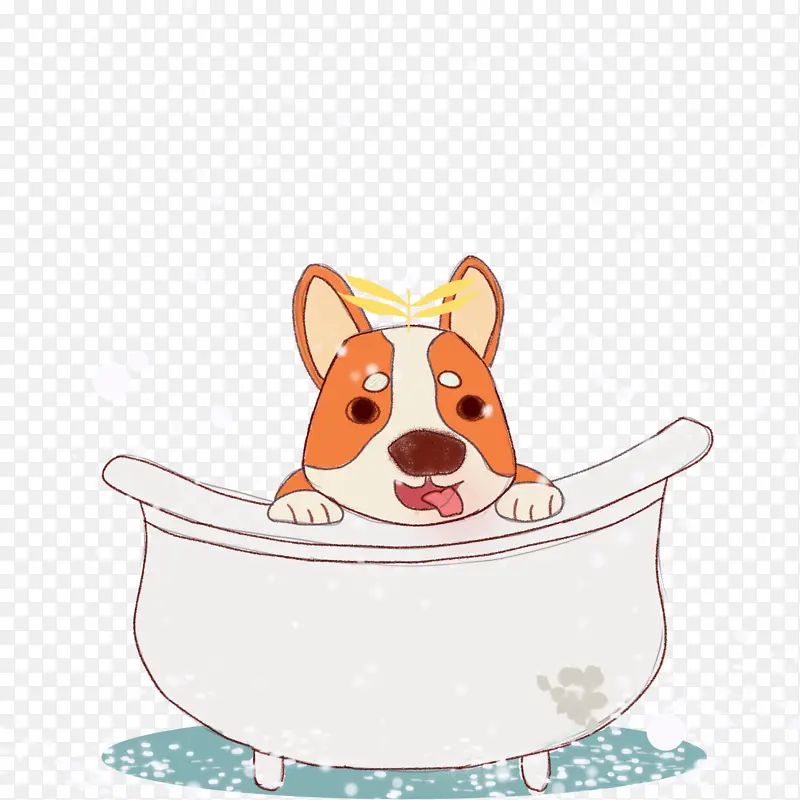 宠物洗澡 狗狗