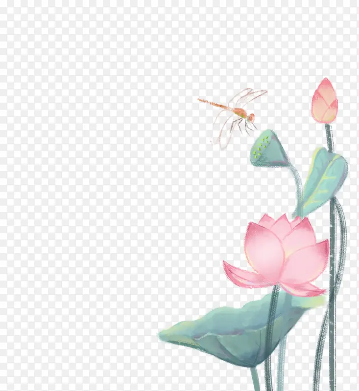 中国风手绘荷叶荷花蜻蜓