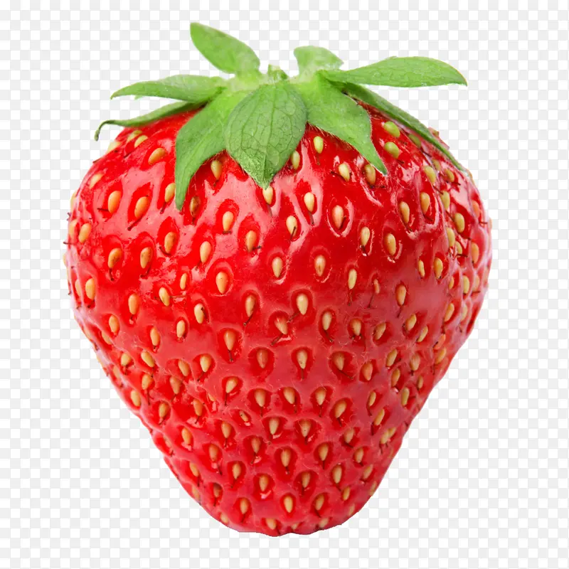 草莓 新鲜 水果