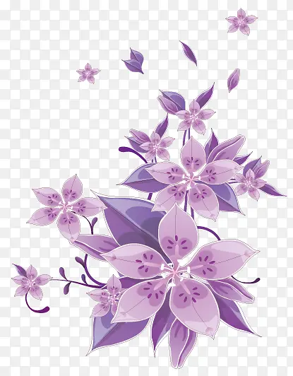 紫色花朵花卉