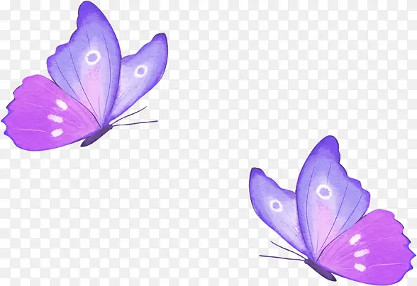 紫色免扣卡通蝴蝶