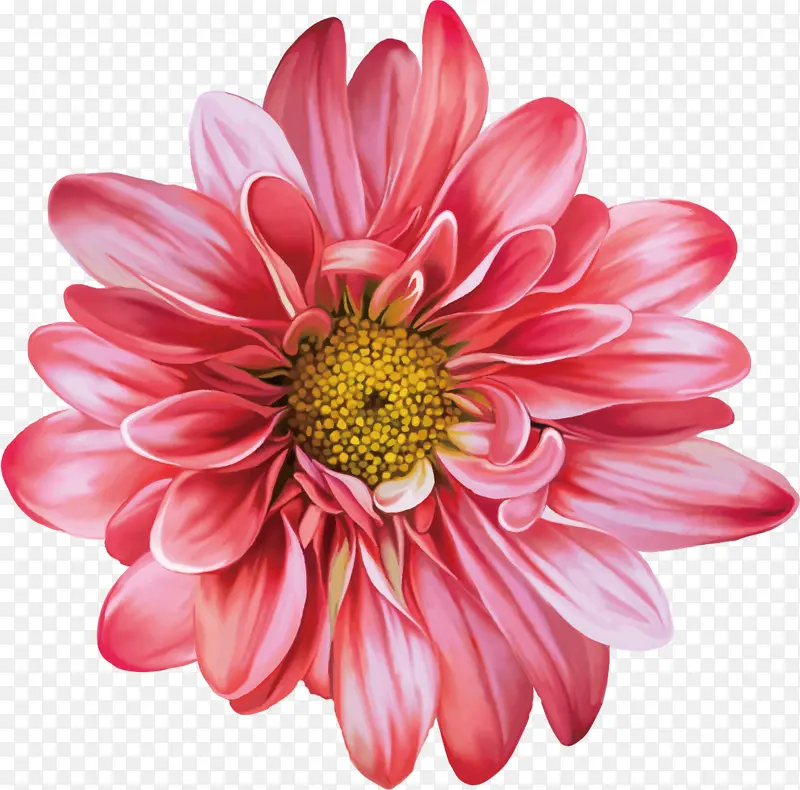 手绘高清矢量水彩鲜花