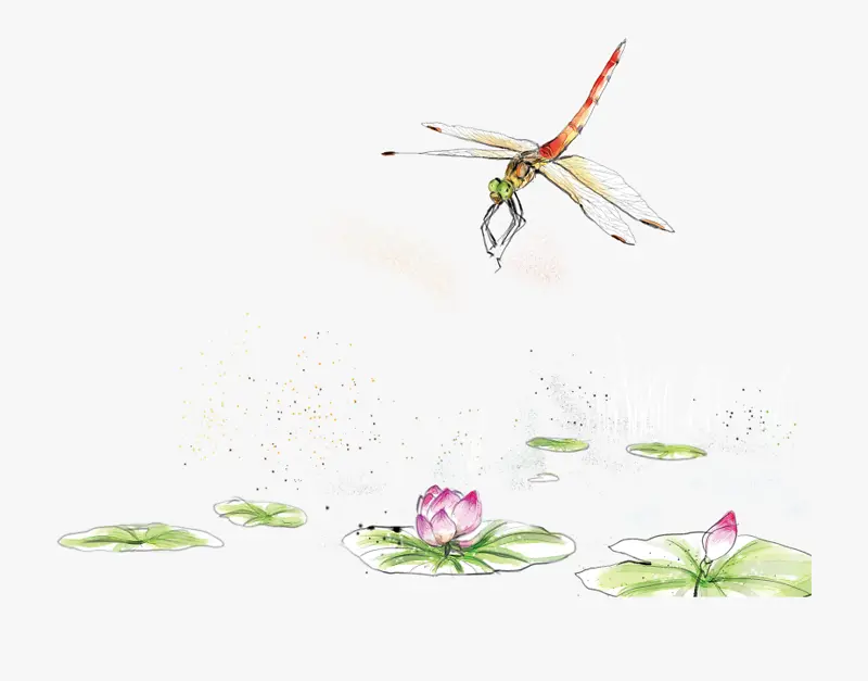 中国风手绘水彩蜻蜓荷塘素材