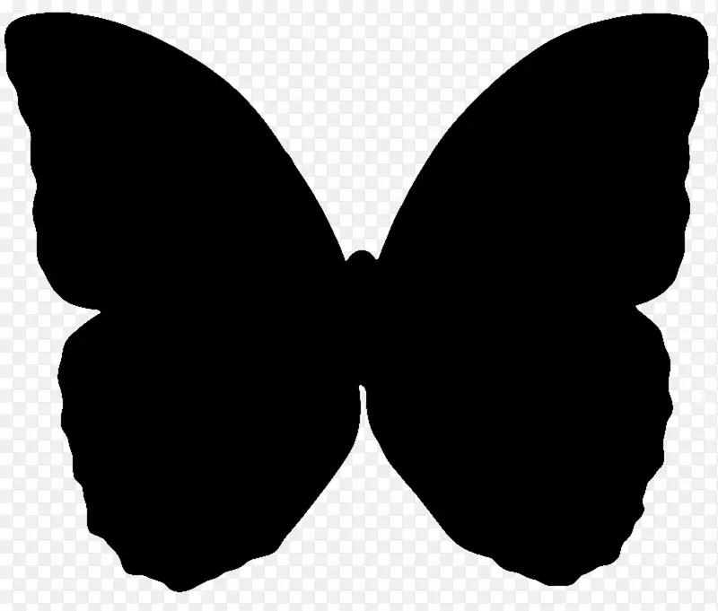 蝴蝶的黑色阴影