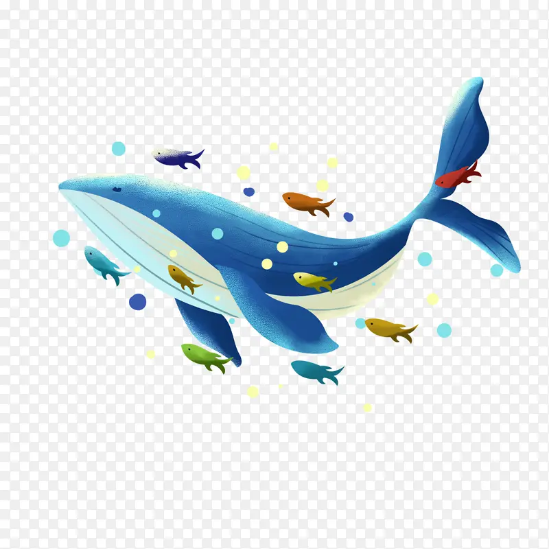 卡通海洋动物鲸鱼素材