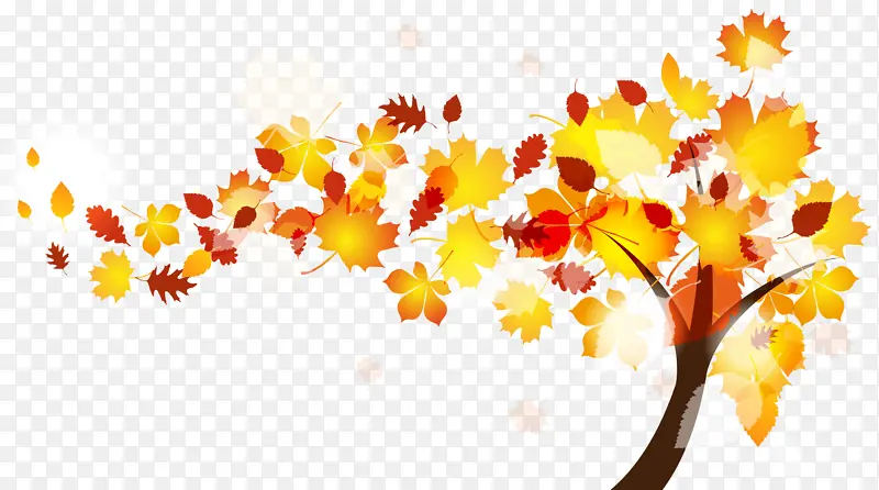 立秋手绘枫叶落叶树矢量素材