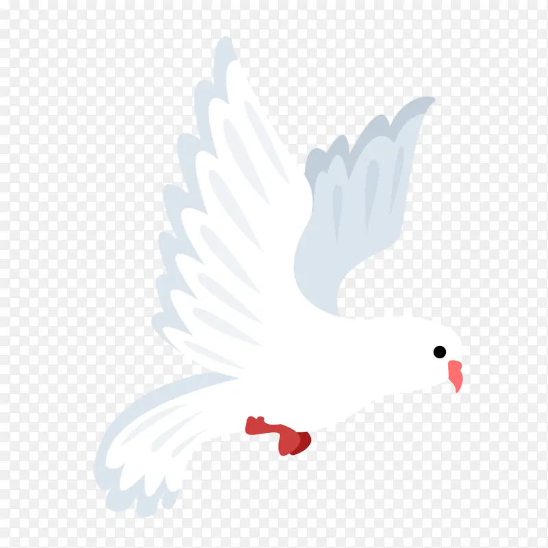 白色鸽子飞翔和平鸽