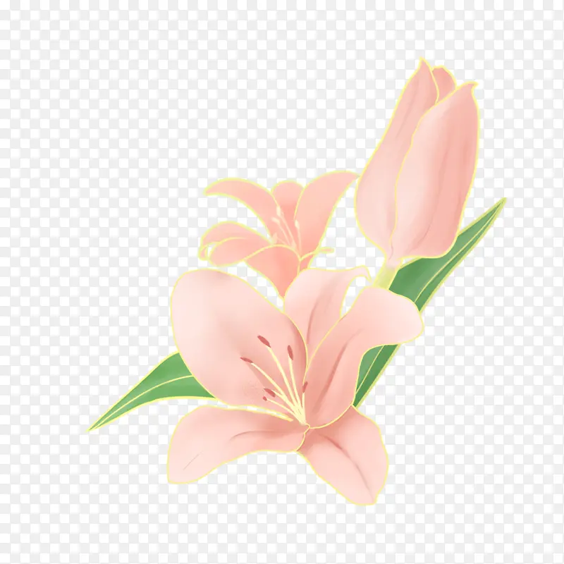 粉红色的花朵插画素材