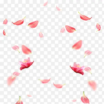 漂浮桃花  桃花  花瓣