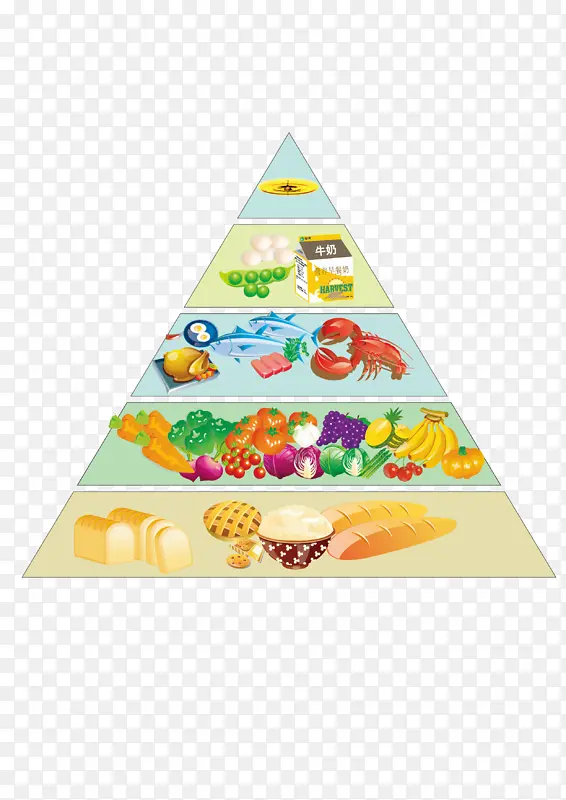 金字塔，膳食宝塔，营养元素，食物链