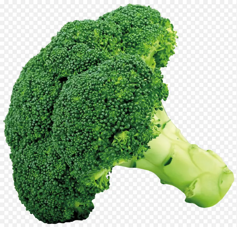 无公害蔬菜 有机 洋花菜 绿色 花菜
