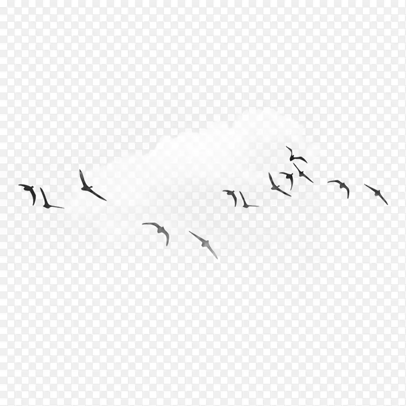 在白云中飞翔的鸟