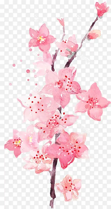 中国风手绘粉色桃花