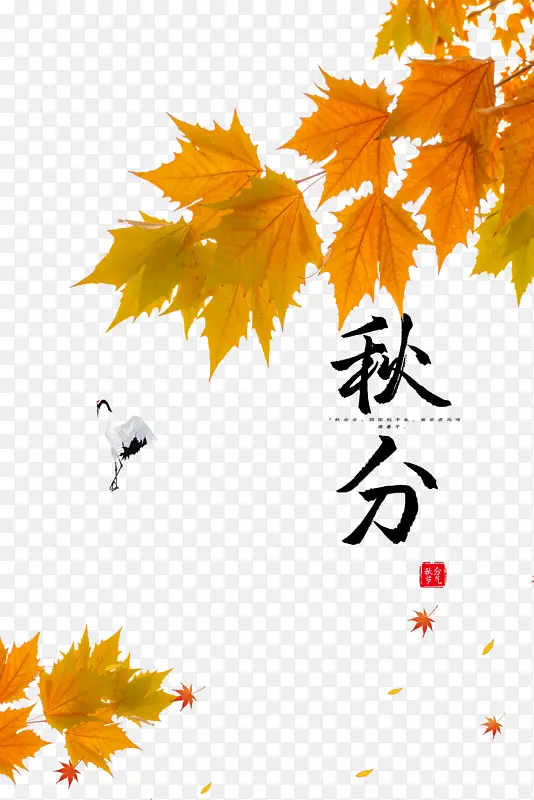 秋天秋分秋季树叶枫叶白鹤