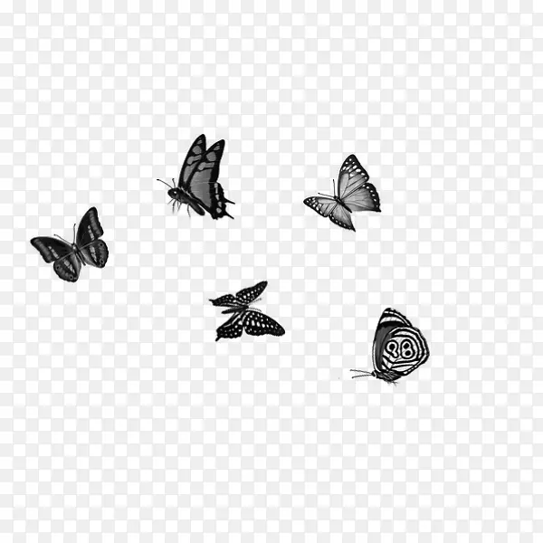 漂浮装饰元素——蝴蝶