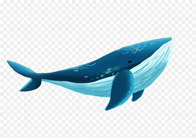 一只蓝色漂亮的鲸鱼
