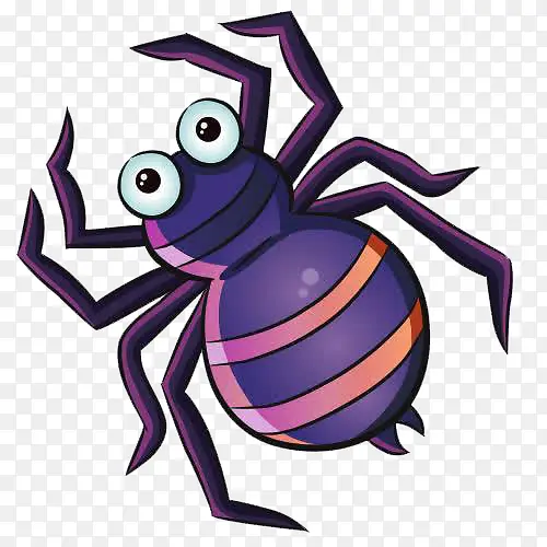 紫色吓人蜘蛛