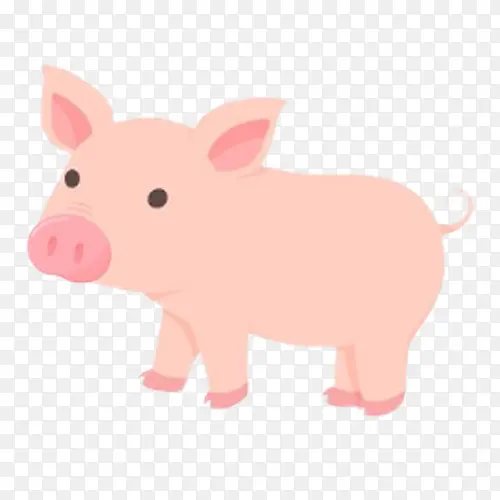 卡通可爱动物小猪