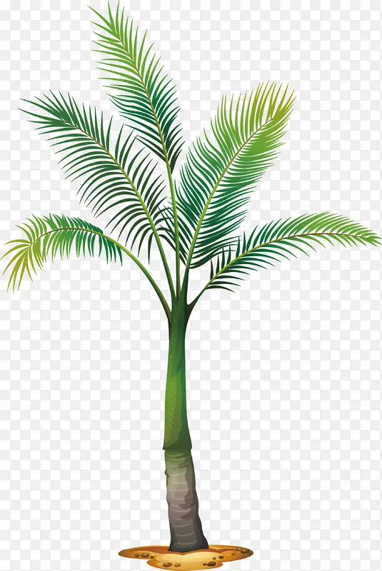 侏罗纪椰子树