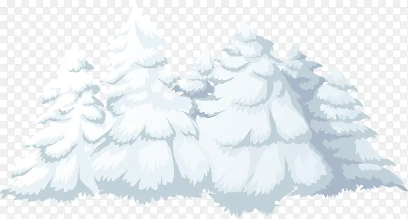 冬天的雪松