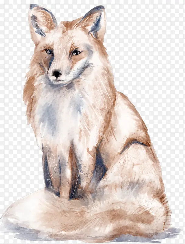 动物，小清新，水彩，手绘，狐狸