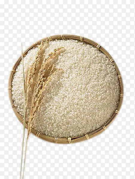 水稻大米小麦农产品