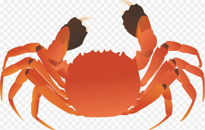 红色螃蟹卡通插画