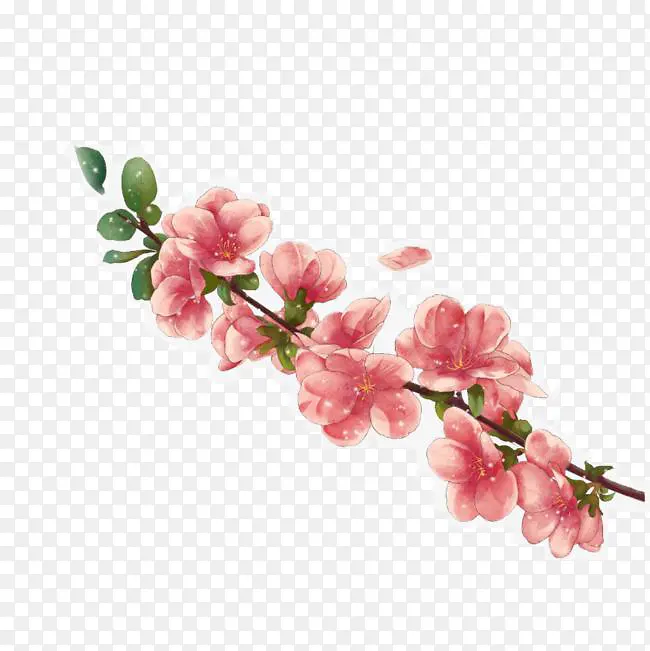 漂浮的一串桃花