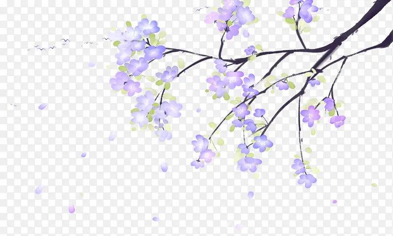 春天花朵树枝花瓣