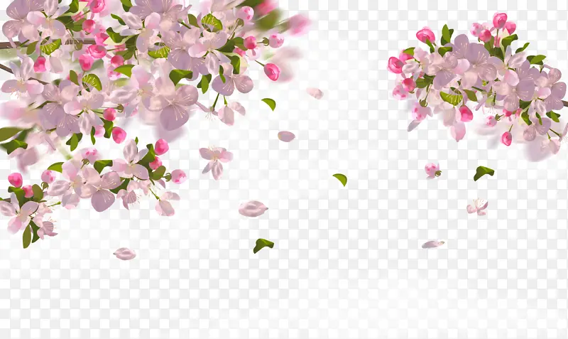 春天手绘樱花花瓣装饰元素