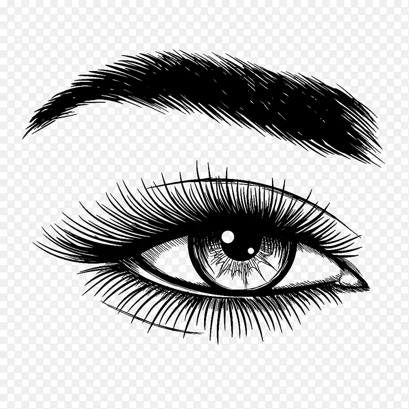 手绘风格眼睛插画素材PNG图片素材下载_图片编号yxvvpvpo-免抠素材网