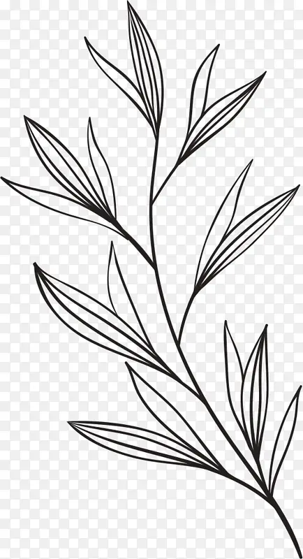 花 植物 手绘 线条素描