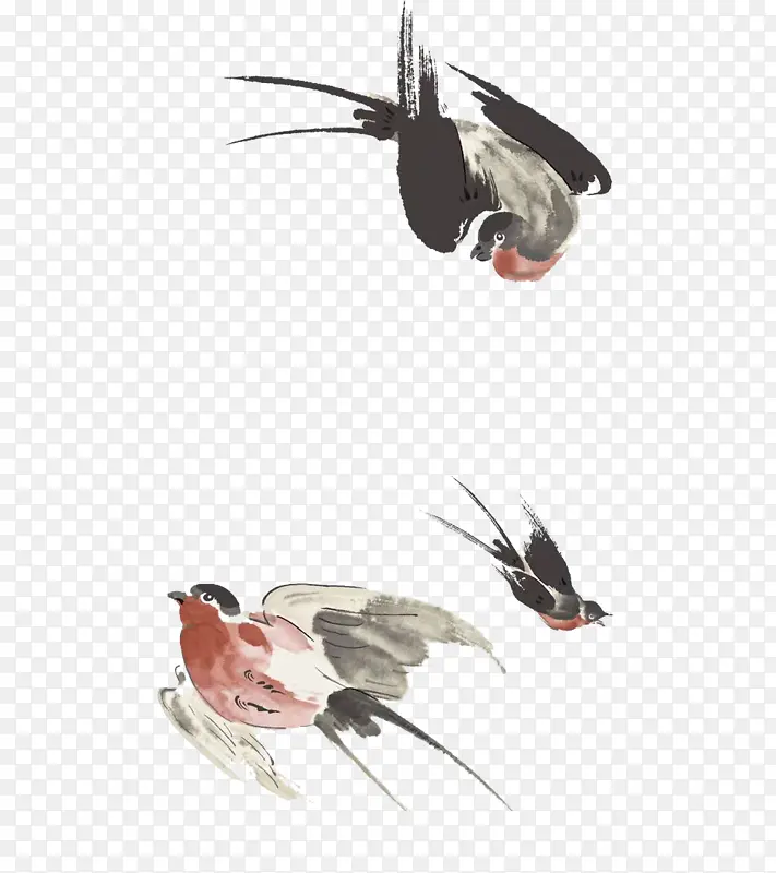 中国水墨画的燕子