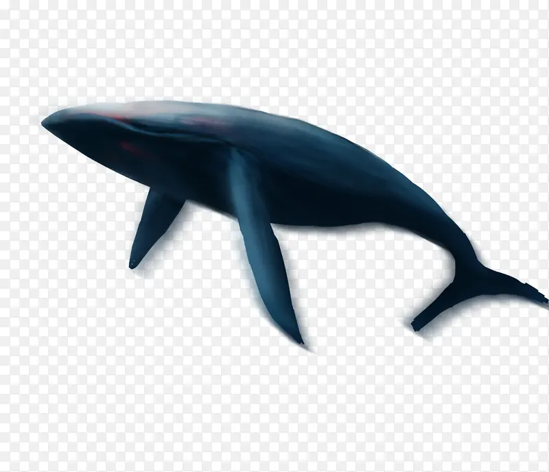 手绘神兽鲸鱼鲲