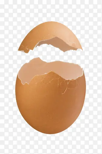 鸡蛋壳组合素材