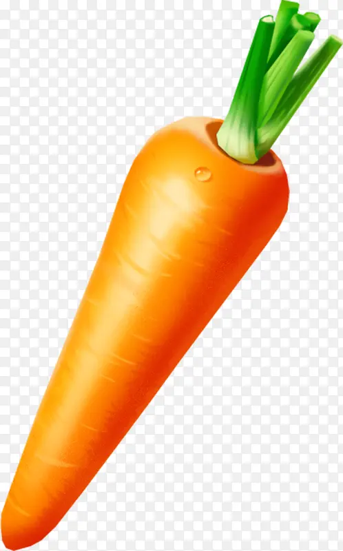 完整的胡萝卜
