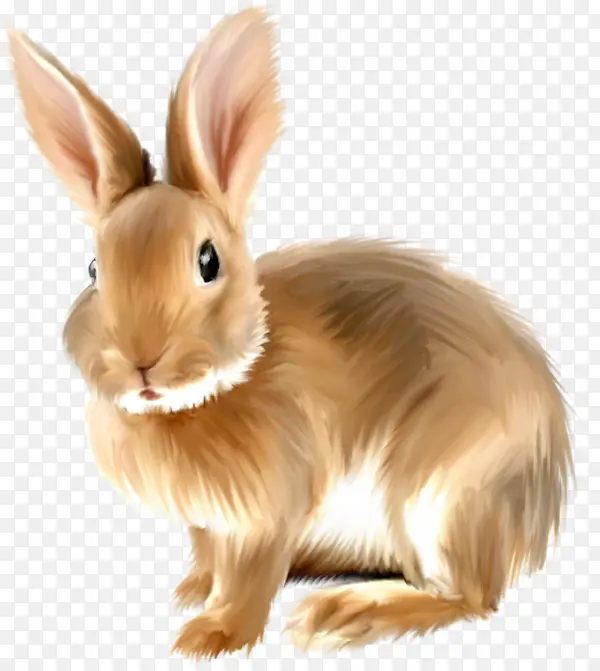 卡通高清PNG兔子动物图片