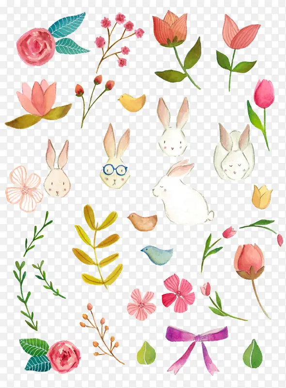 手绘花鸟，水彩花鸟，兔子，胡萝卜