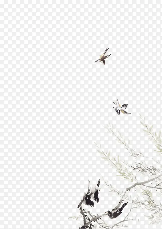 燕子柳树飞燕